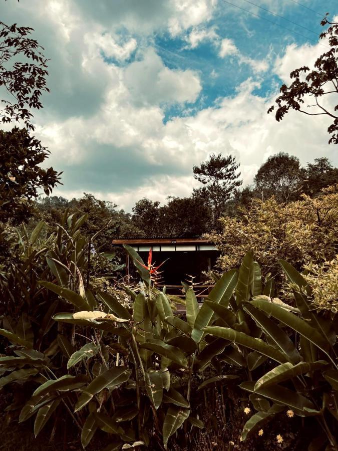 Glamping Salento Con Jacuzzi Climatizado酒店 外观 照片