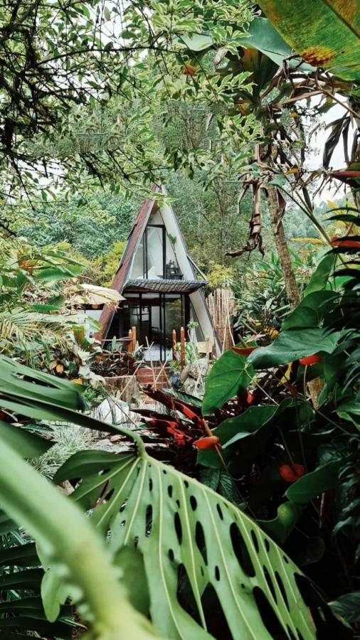 Glamping Salento Con Jacuzzi Climatizado酒店 外观 照片
